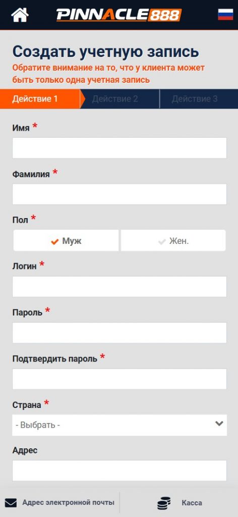 Анкета регистрации в Пинакл888